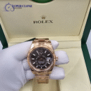 Rolex Sky-Dweller 336935 42MM Chocolate Index Dial Watch